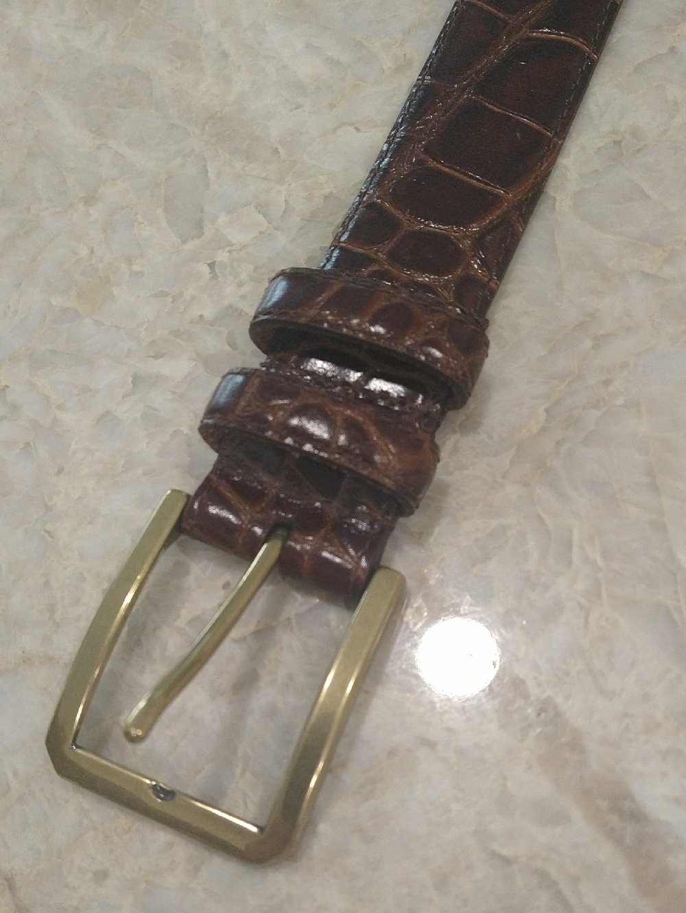 Brown Croc-Embossed Leather Belt with Gold Buckle